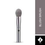 Buy Jaquline USA Blush Brush (30 gm) - Purplle