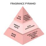 Buy Jaquline USA Bostonorama EDP (100 ml) - Purplle