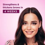 Buy Bella Vita Organic GrowBrow Brow & Lash Oil (12 ml) - Purplle