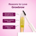 Buy Bella Vita Organic GrowBrow Brow & Lash Oil (12 ml) - Purplle