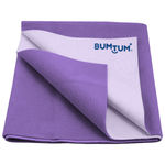 Buy Bumtum Dry sheet _M_Lilac  1 Pc - Purplle