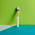 Buy Pigment Play Large Highlighter Brush 1 Pc - Purplle