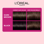 Buy L'Oreal Paris Casting Creme Gloss 300 Darkest Brown 87.5g+72ml - Purplle