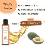 Buy Mystiq Living - Avocado Oil | Avocado Oil For Hair | Avocado Oil For Face | Avocado Hair Oil | Cold Pressed | 100% Pure & Natural - 50 ml - Purplle