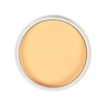 Buy Mattlook Oil control Waterproof Pan Cake, Face Makeup, Give Me Sun (15 gm) - Purplle