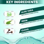 Buy Nature Sure Aloe Vera Mouthwash with Neem and Clove for Oral Health - 2 Packs (150ml Each) - Purplle