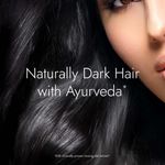 Buy Kapiva Curry Leaf Grey Control Hair Oil 200 ml - Purplle