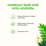 Buy Kapiva Curry Leaf Grey Control Hair Oil 200 ml - Purplle