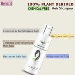 Buy Ktein Natural Chemical Free Plant Derived Shampoo (200ml) - Purplle