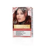 Buy L'Oreal Paris Excellence Fashion - Shade 5.54 Intense Warm Auburn (100 g) - Purplle