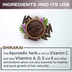 Buy Indus valley bio organic shikakai powder 100 gm - Purplle