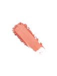 Buy Plum Cheek-A-Boo Matte Blush | Highly Pigmented | Matte Finish | Effortless Blending | 100% Vegan & Cruelty Free | 121 - Peach Out - Purplle