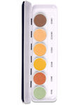Buy C2P Pro Ultra Hd Cover & Conceal 6 In 1 Supraemeshield Color Corrector Palette - Purplle