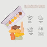 Buy C2P Pro Ultra Hd Cover & Conceal 6 In 1 Supraemeshield Color Corrector Palette - Purplle