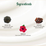 Buy Biotique Bio Herbcolor 3N Darkest Brown (50 g +110 ml) - Pack of 2 - Purplle