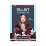 Buy BBLUNT Wine Deep Burgundy 5 Minute Shampoo Hair Colour for 100% Grey Coverage - 20 ml X 5 - Purplle