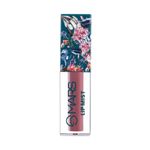 Buy MARS Lip Mist Lip Gloss - 4 (4.5 g) - Purplle