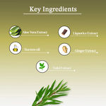 Buy AYA Australian Tea Tree Face Mask, 120 gm | No Paraben, No Silicone, No Sulphate - Purplle