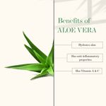 Buy Good Vibes Aloe Vera + Vitamin E Anti - Acne Night Face Lotion| With Hyaluronic Acid | No Parabens, No Sulphates, No Mineral Oil (120 ml) - Purplle