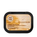 Buy MAC Connect In Colour Eye Shadow Palette X6 (6.25 gm) BRONZE INFLUENCE - Purplle