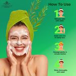Buy Verdant Natural Care Tea Tree Face Wash (100 ml) - Purplle