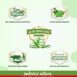 Buy Nature Sure Aloe Vera Leaf Face Pack Powder 200g with Rose Water 50 ml - 2 Packs - Purplle