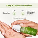 Buy mCaffeine Green Tea Face Serum with Multi-Peptides - Pack of 2 - Purplle