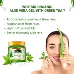 Buy Indus Valley Bio Organic Aloe Vera Gel and Multani Mitti Powder combo pack for Acne, Scars, Glowing & Radiant Skin Treatment (175ml + 200 gm) - Purplle