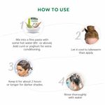 Buy Indus Valley Bio Organic Herbal Henna Powder to Improves Hair Growth & Reduces Dandruff-Pack of 2 100gm+100gm - Purplle