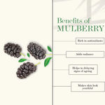 Buy Good Vibes Mulberry Glow Toner (200 ml) - Purplle