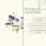 Buy Good Vibes Lavender & Mint Refreshing Shower Gel | Refreshing, Soothing, Calming | No Parabens, No Animal Testing (200 ml) - Purplle