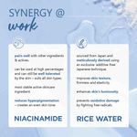 Buy Plum 10% Niacinamide Face Serum with Rice Water for Blemish-Free, Clear & Bright Skin (15 ml) - Purplle