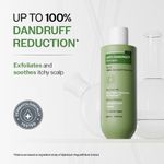 Buy Bare Anatomy Anti-Dandruff Shampoo - Strengthens Hair with Salicylic Acid & Biotin (250 ml) - Purplle