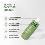 Buy Bare Anatomy Anti-Dandruff Shampoo - Strengthens Hair with Salicylic Acid & Biotin (250 ml) - Purplle