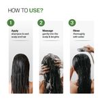 Buy Bare Anatomy Anti-Dandruff Shampoo - Strengthens Hair with Salicylic Acid & Biotin (250 ml) - Purplle