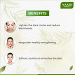 Buy Vaadi Herbals Refreshing Fruit Pack With Apple, Lemon & Cucumber (120 gm) - Purplle