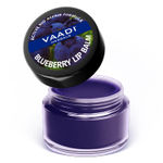 Buy Vaadi Herbals Lip Balm Blueberry (10 g) - Purplle