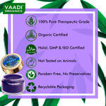 Buy Vaadi Herbals Lip Balm Blueberry (10 gm) - Purplle