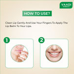 Buy Vaadi Herbals Lip Balm Lychee (10 gm) - Purplle