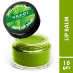 Buy Vaadi Herbals Lip Balm Mint (10 g) - Purplle