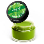 Buy Vaadi Herbals Lip Balm Mint (10 g) - Purplle