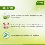 Buy Vaadi Herbals Super Value Pack Of Aloe Vera Facial Bars With Extract Of Tea Tree (5+1)(25 g X 6) - Purplle