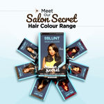 Buy BBlunt Salon Secret High Shine Creme Hair Colour - Chocolate Dark Brown (152 ml) - Purplle