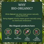 Buy Indus valley bio organic bhringraj powder 100 gm - Purplle