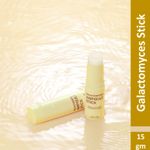 Buy RiRe Galactomyces Ampoule Stick 15 gm - Purplle