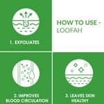 Buy Good Vibes Anti- Acne with Our Tea Tree Shower Gel and Loofah Combo - Purplle