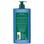 Buy Biotique Ocean Kelp Anti Hairfall Shampoo For Falling Hair (650 ml) - Purplle