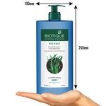 Buy Biotique Ocean Kelp Anti Hairfall Shampoo For Falling Hair (650 ml) - Purplle