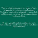 Buy Biotique Ocean Kelp Anti Hairfall Shampoo For Falling Hair (650 ml) - Purplle