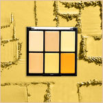 Buy Half N Half Cover Concealer Skin Beauty, Multicolour Palette, Honey (9.6 gm) - Purplle